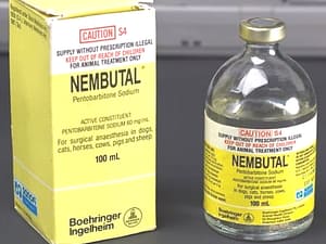 Nembutal Injection